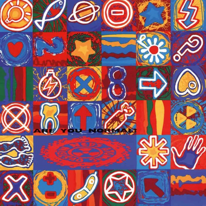 ned's-atomic-dustbin-are-you-normal?-vinyl-record.jpg