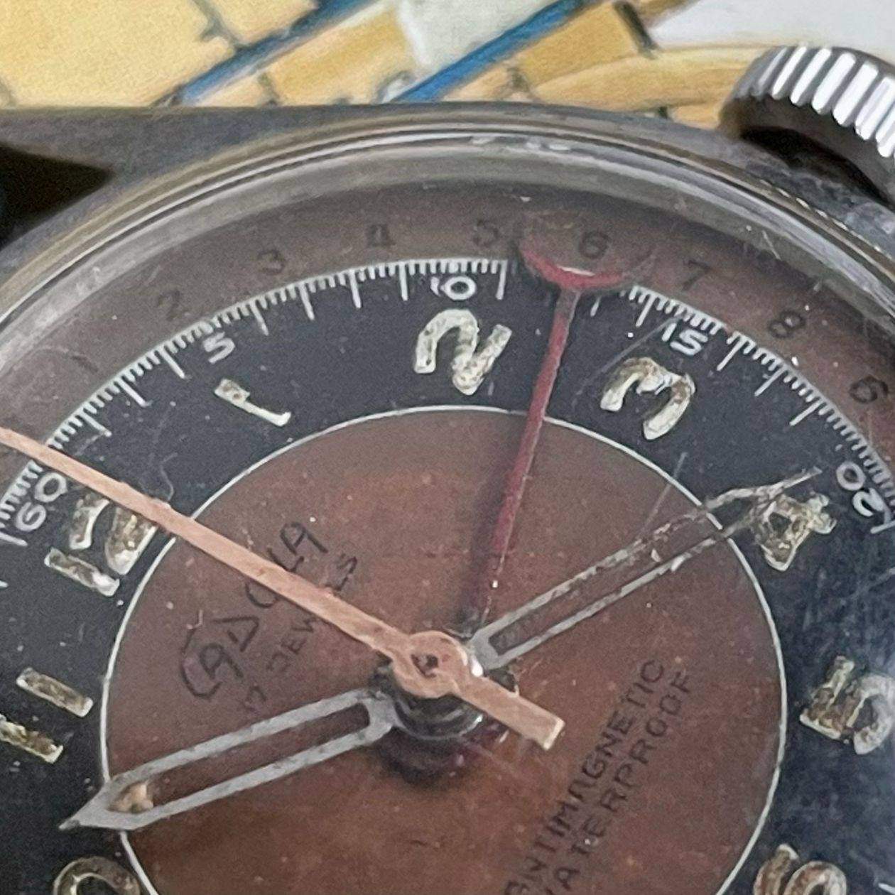 Cadola Pointer Date (1930’s)