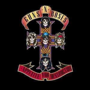 guns-n'-roses-appetite-for-destruction-vinyl-record.jpg