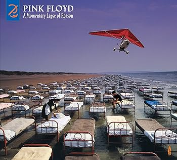 pink-floyd-a-momentary-lapse-of-reason-(remixed-&-updated)-vinyl-record.jpg