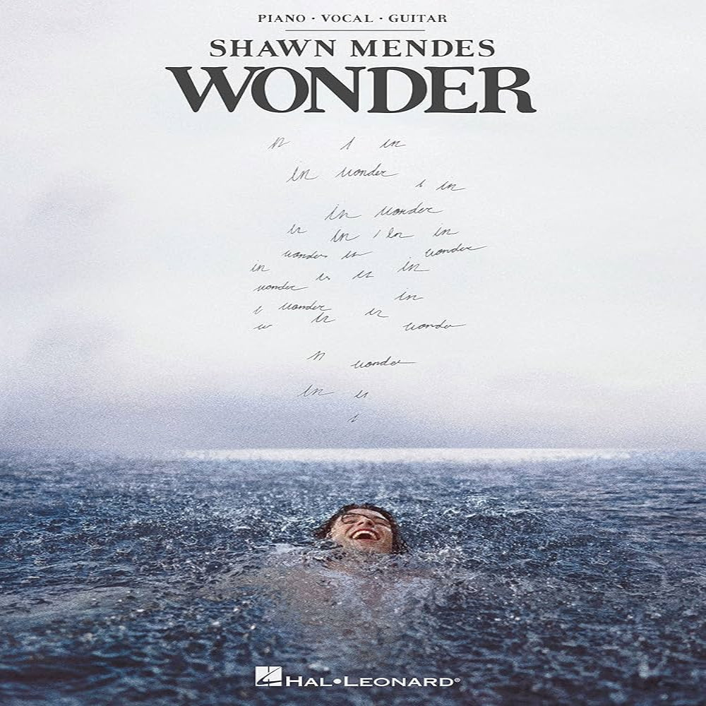 shawn-mendes-wonder-vinyl-record.jpg