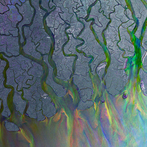 alt-J – An Awesome Wave (Arrives in 7 Days)