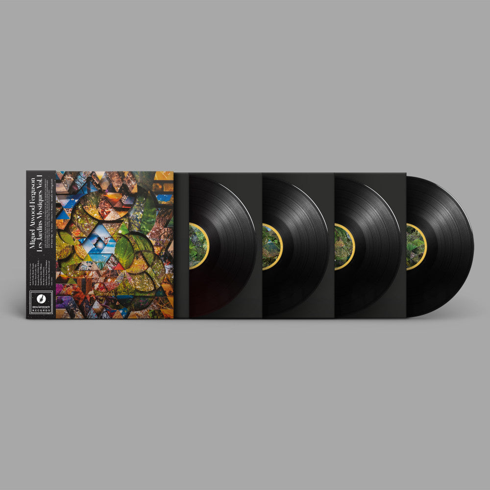 miguel-atwood-ferguson-–les-jardins-mystiques-vol-.1-vinyl-record.jpg-2