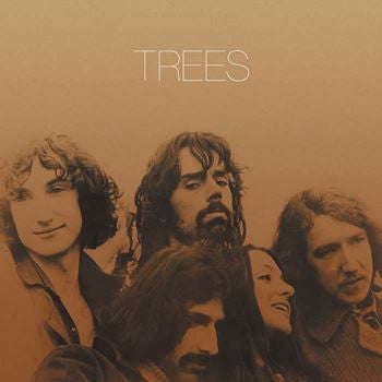 Trees (3) – Trees (Arrives in 4 days )