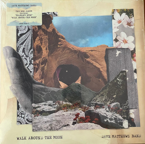 dave-matthews-band-walk-around-the-moon-vinyl-record.jpg