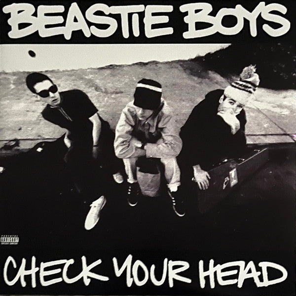 Beastie Boys – Check Your Head (Quick Ship)