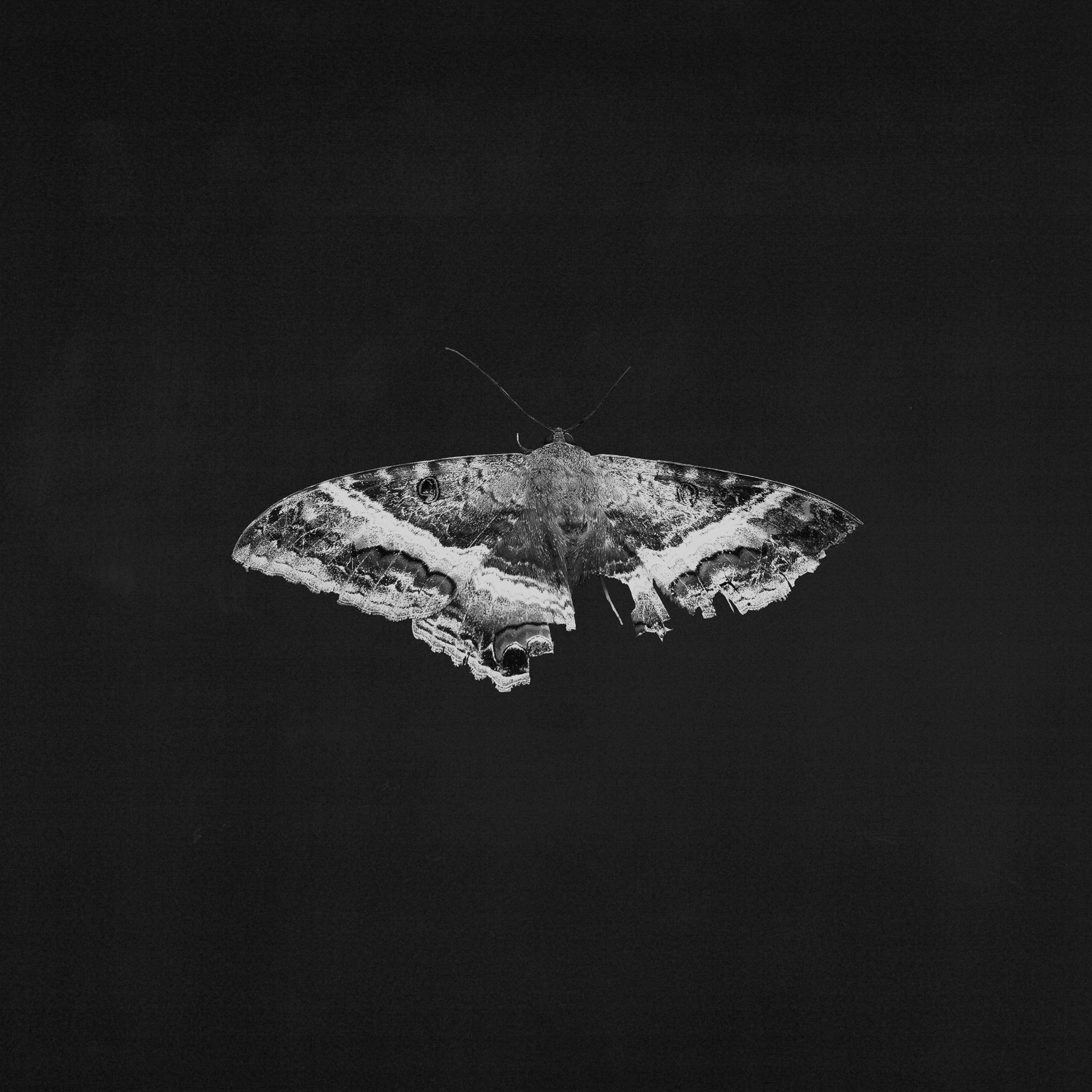 kendrick-lamar--to-pimp-a-butterfly-(10th-anniversary-edition)-vinyl-record.jpg