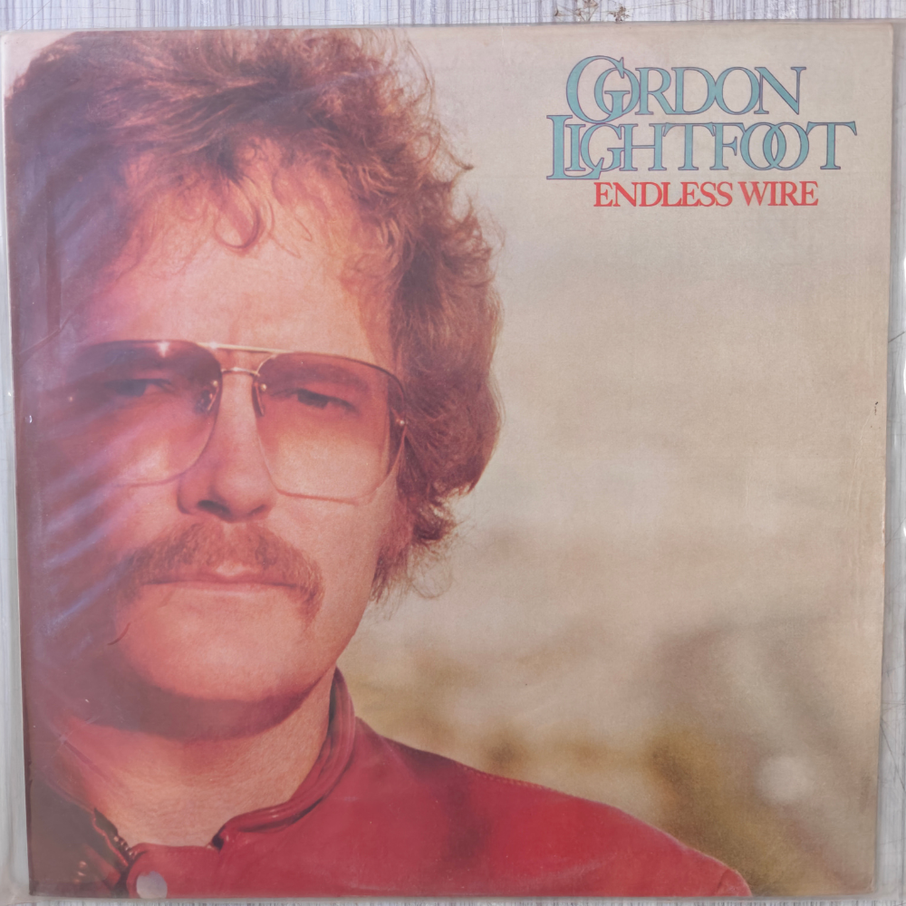 gordon-lightfoot-endless-wire-(indian-pressing)-vinyl-record.jpg