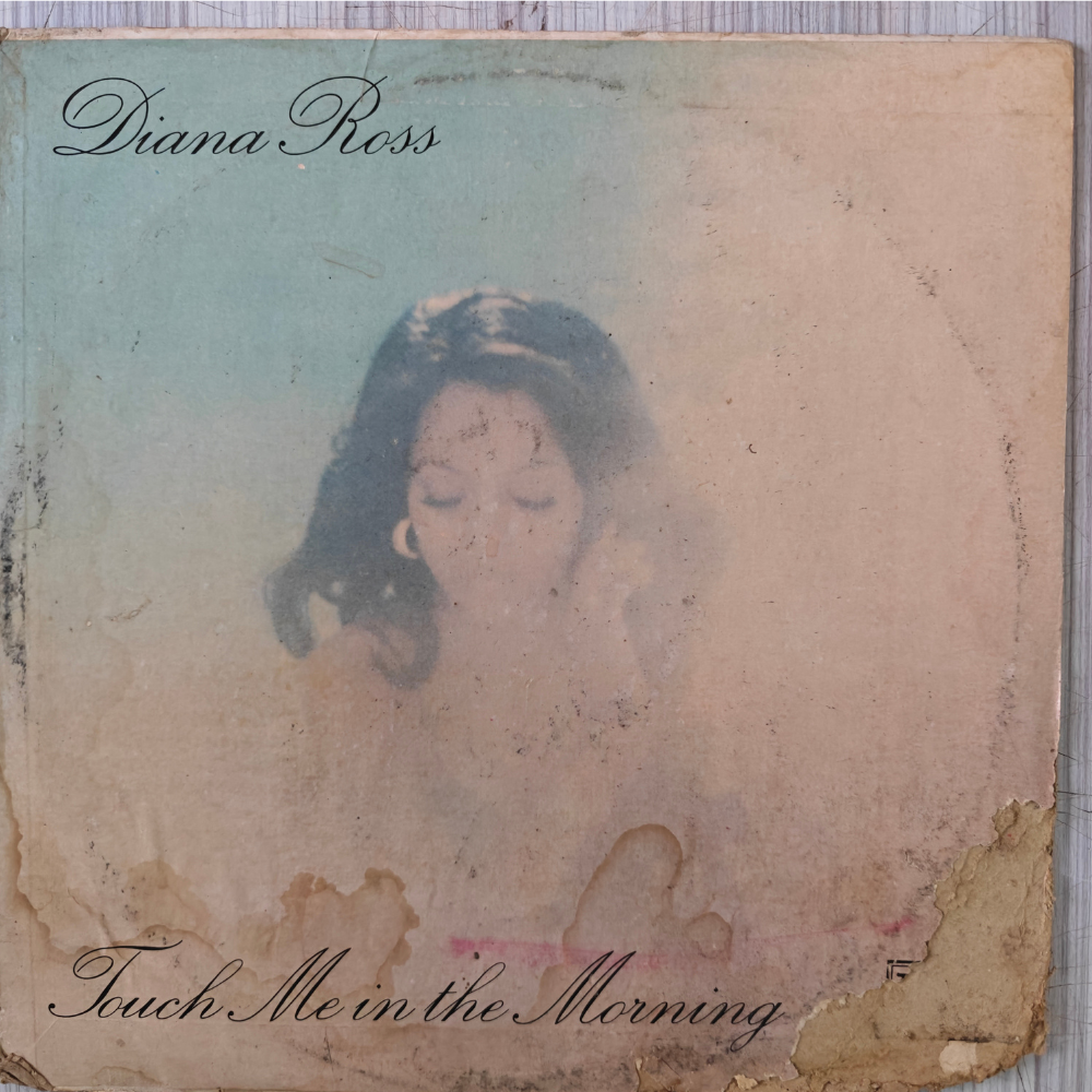 diana-ross-touch-me-in-the-morning-(indian-pressing)-vinyl-record.jpg