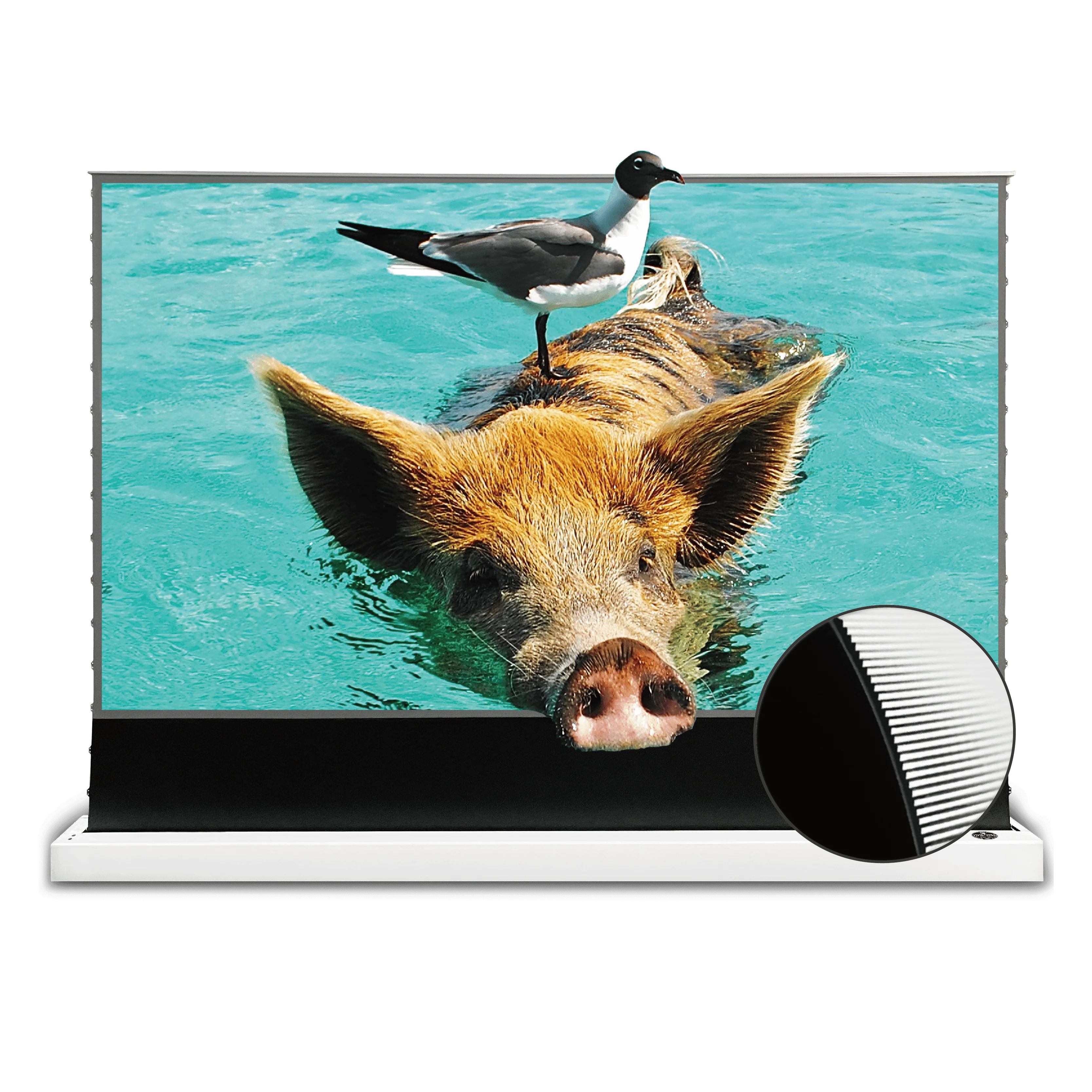 VIVIDSTORM S Pro Screen 100"