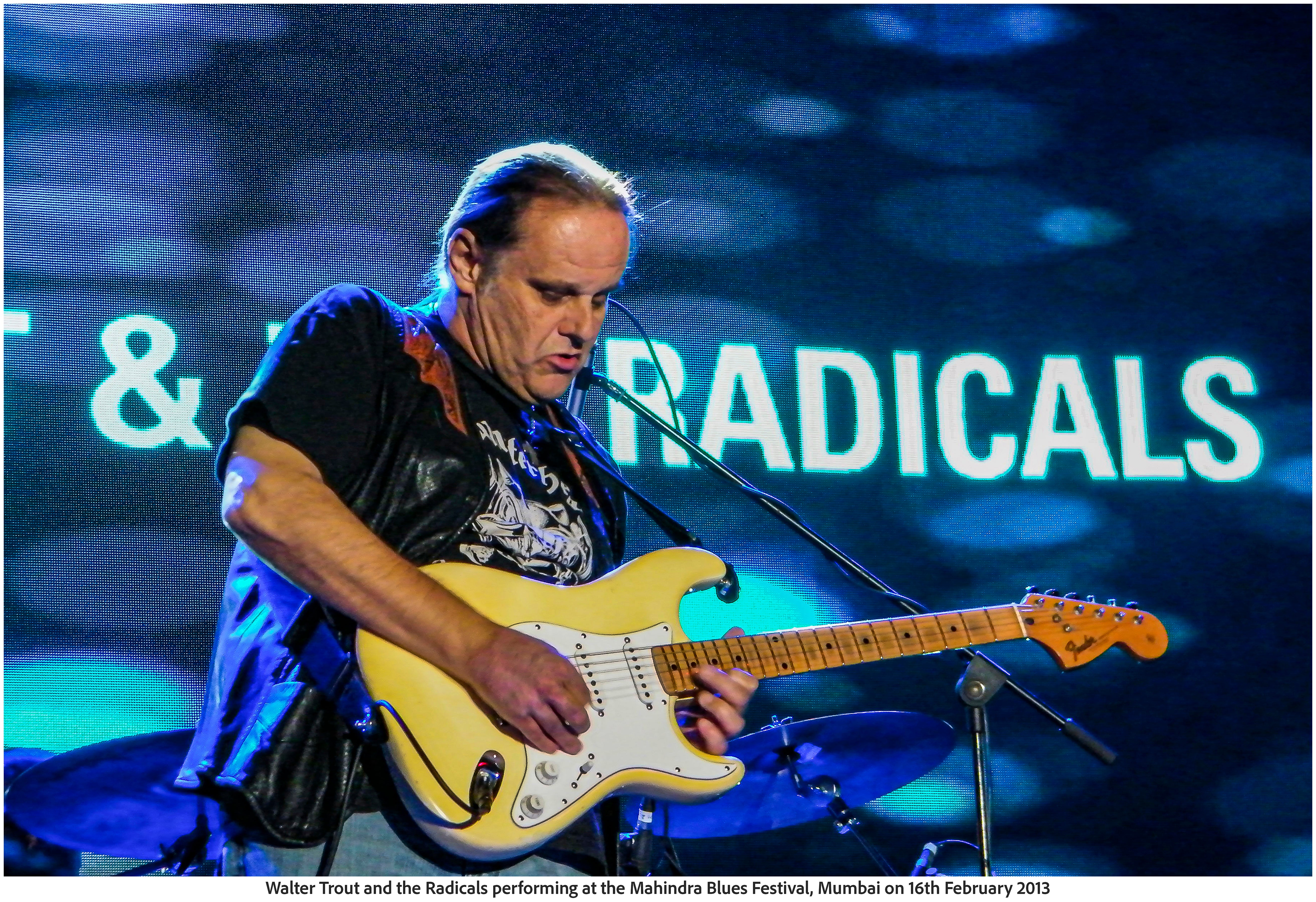 Walter Trout and the Radicals performing at the Mahindra Blues Festival, Mumbai on 16th February 2013 (Photo Frame)