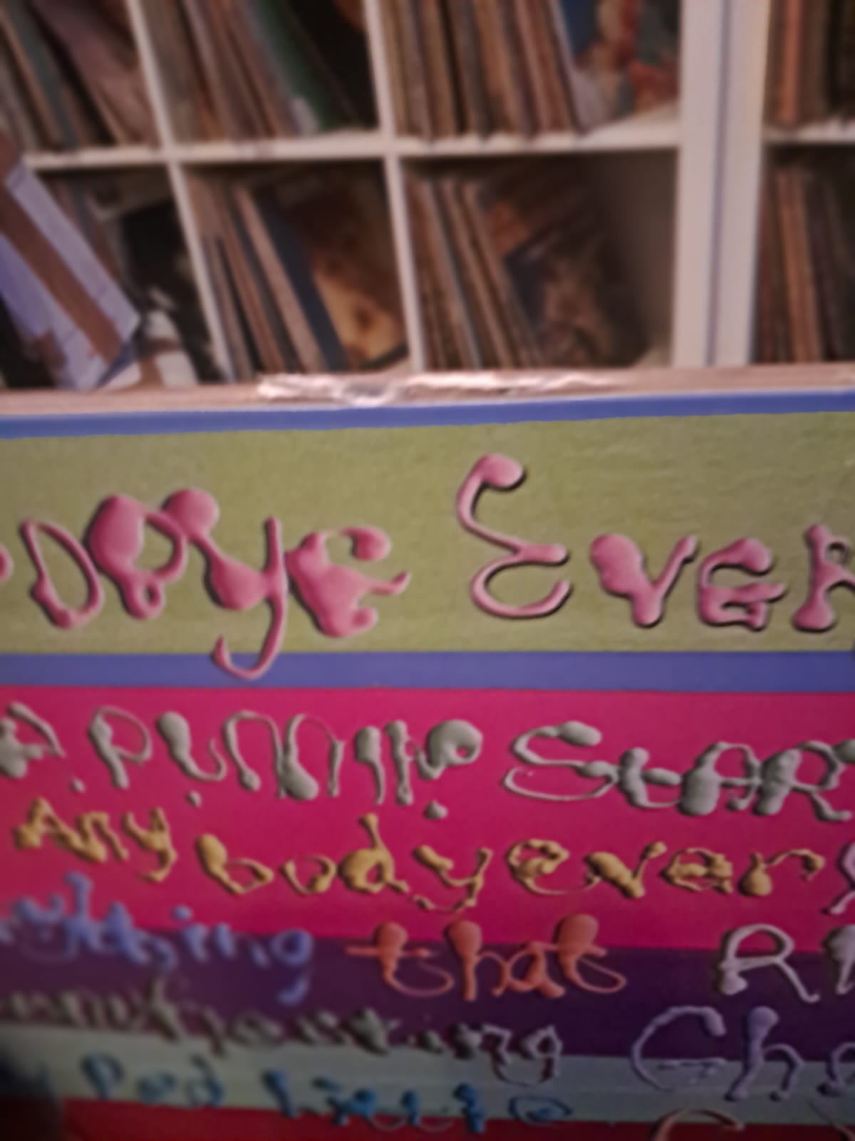 Sufjan Stevens – Javelin (Customs Opened) (Quick Ship)