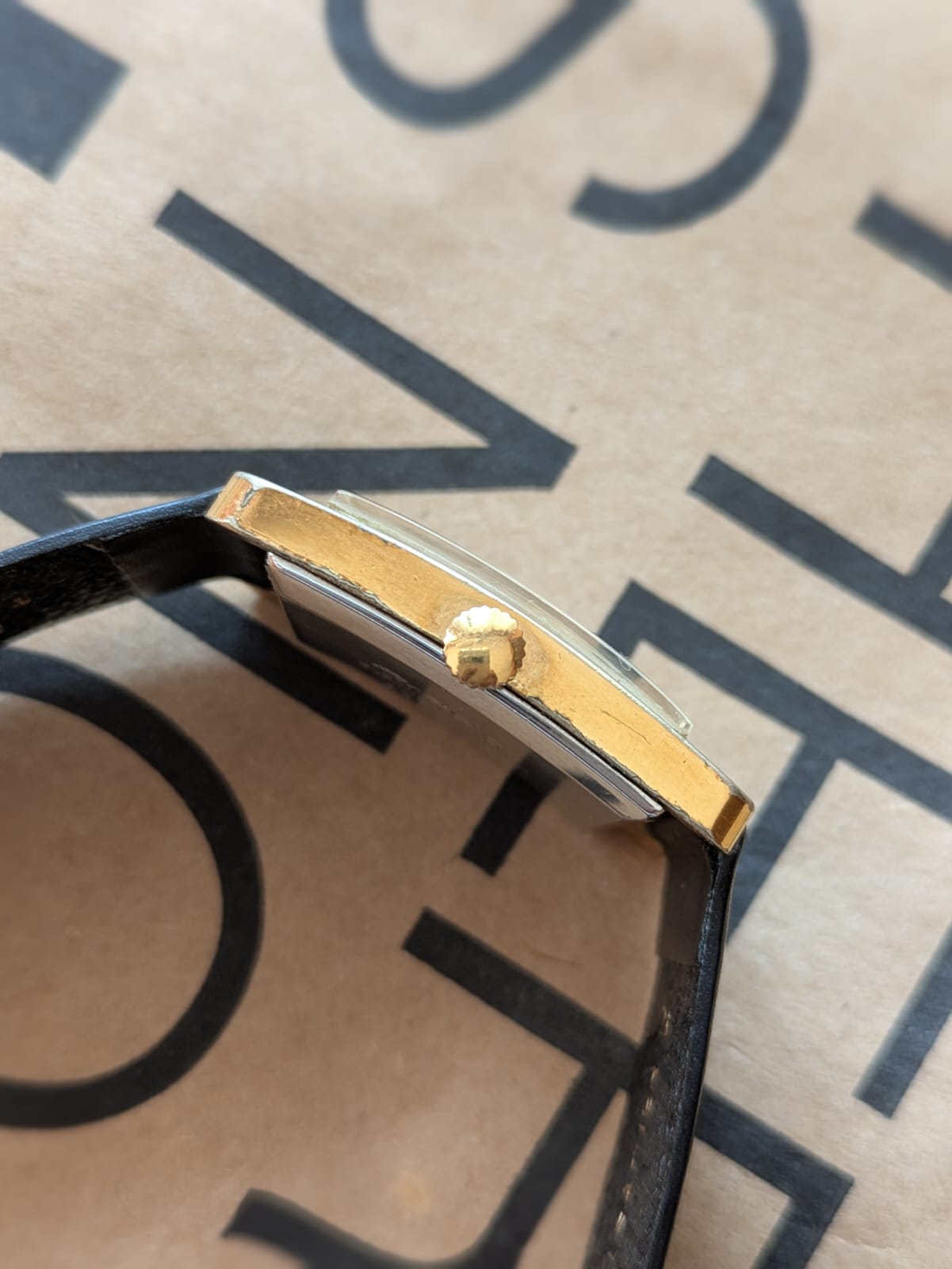 Ricoh Dynamic Escort (Manual)