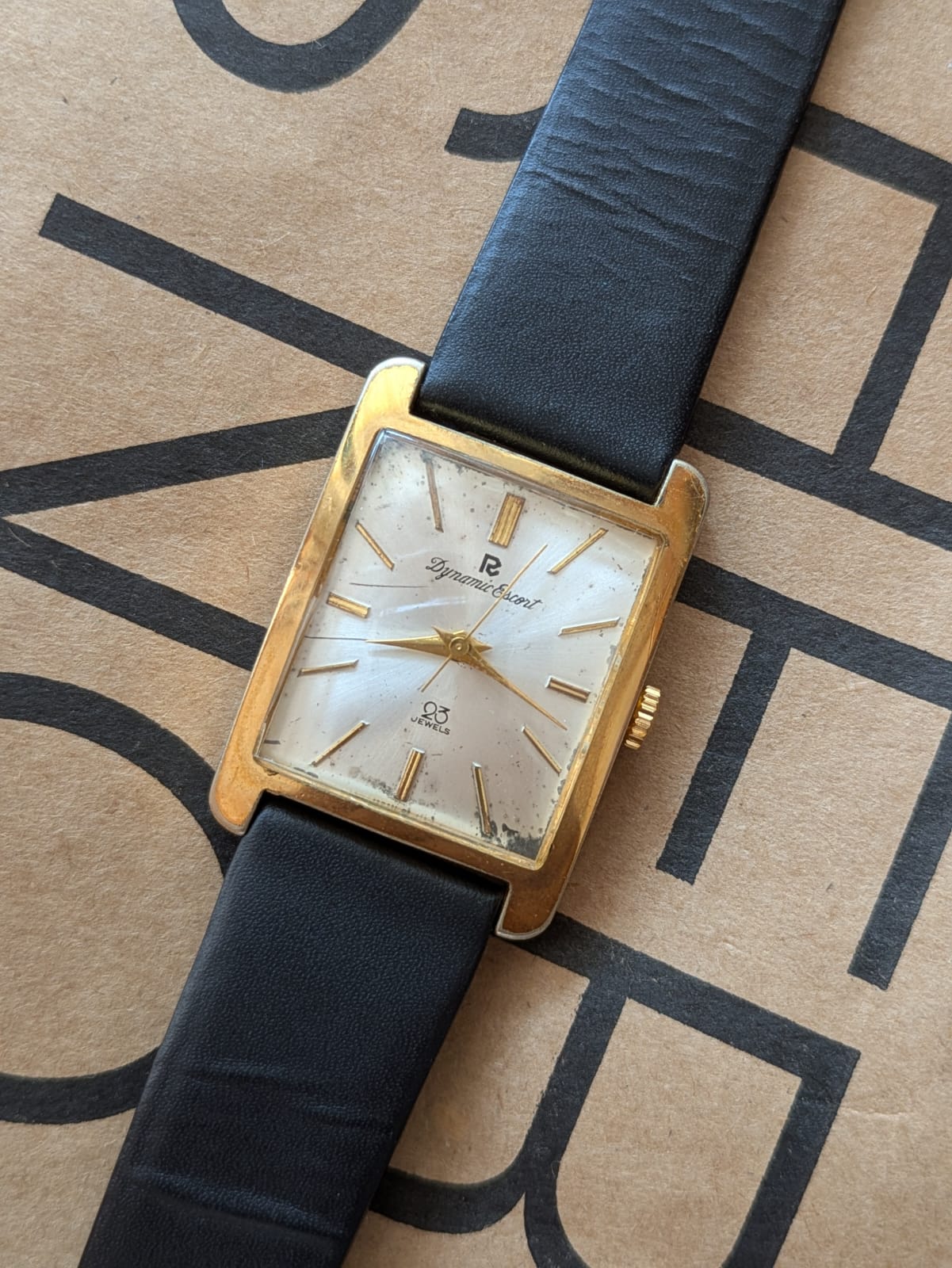 Ricoh Dynamic Escort (Manual)