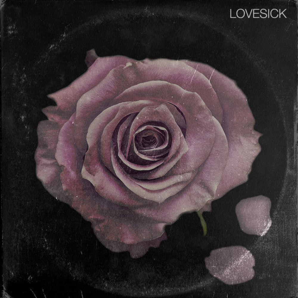 raheem-devaughn-&-apollo-brown-lovesick-vinyl-record.jpg