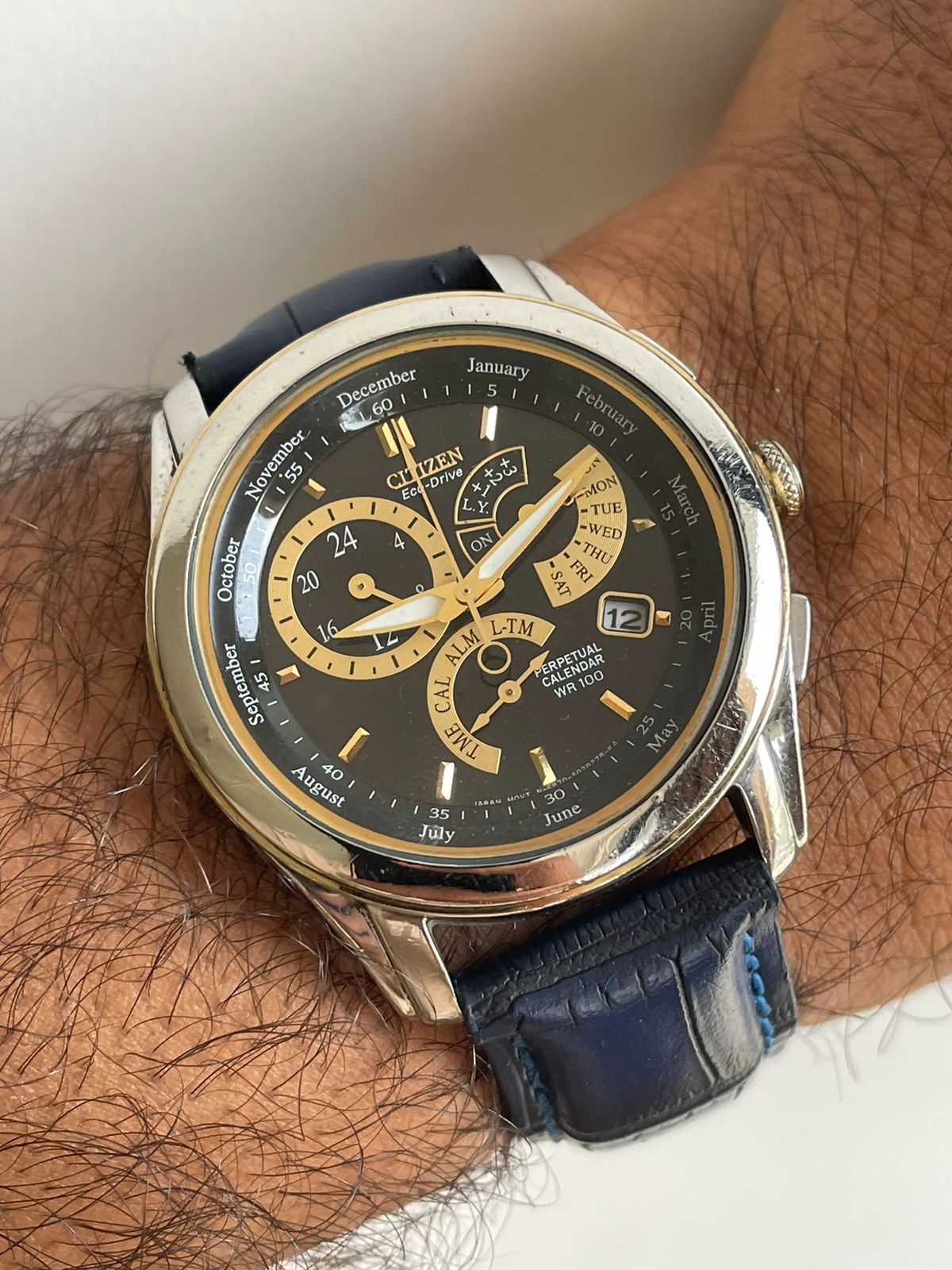Citizen, Eco Drive