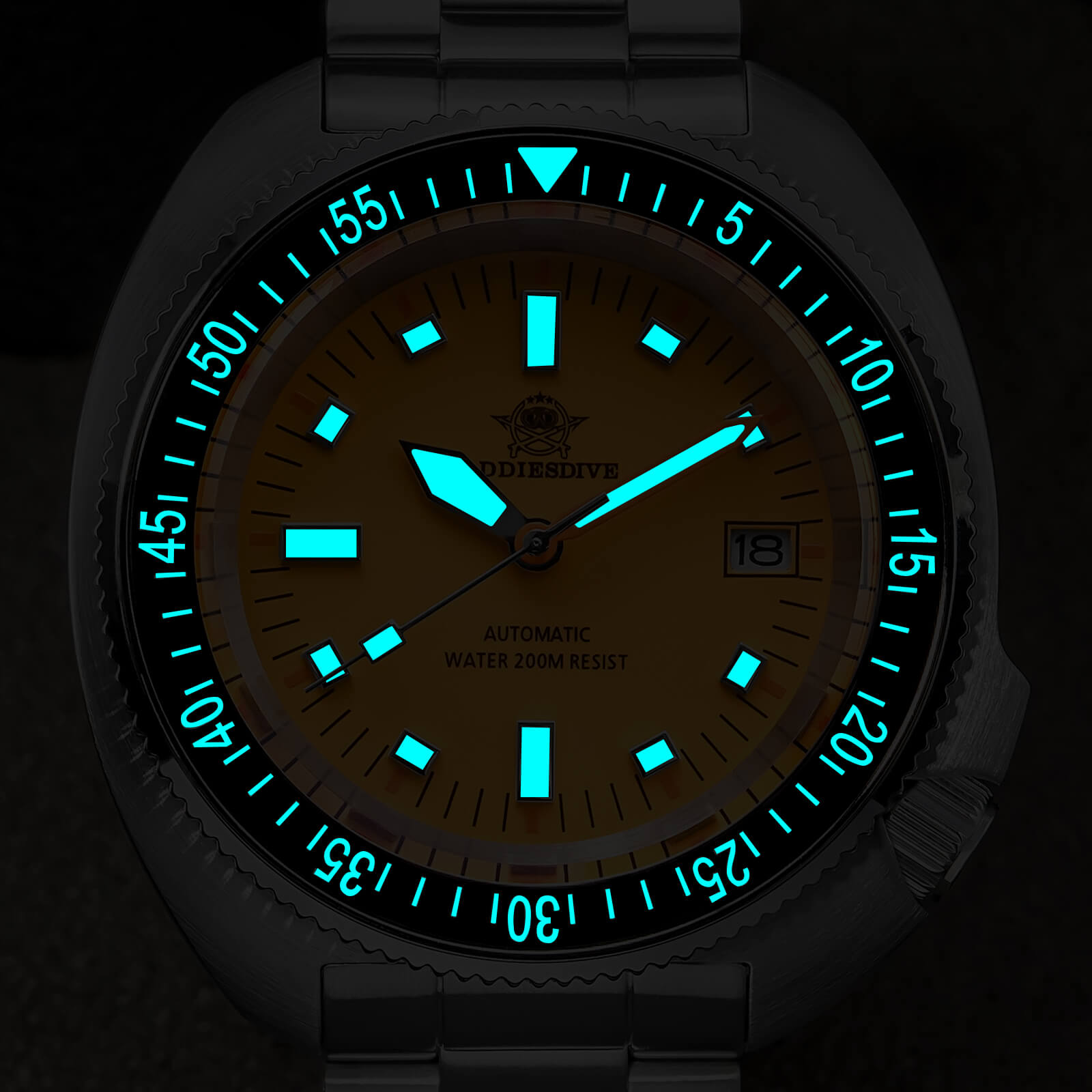 ★Flash Sale★ADDIESDIVE Retro Captain Willard Dive Watch AD2081