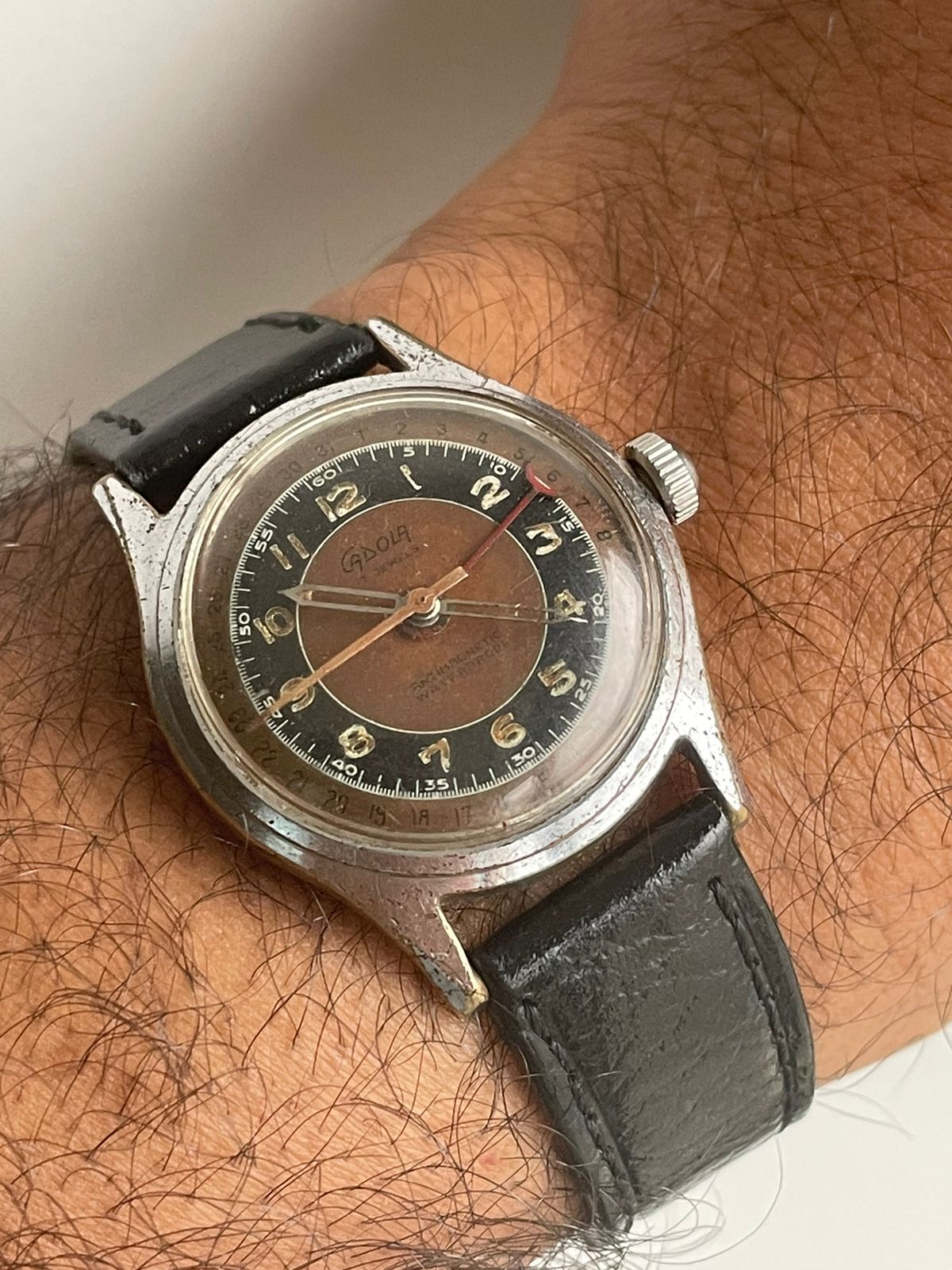 Cadola Pointer Date (1930’s)