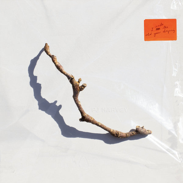 PJ HARVEY – I Inside The Old Year Dying (Arrives in 21 days)