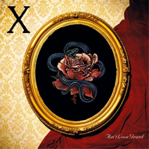 x-(5)-ain't-love-grand-vinyl-record.jpg