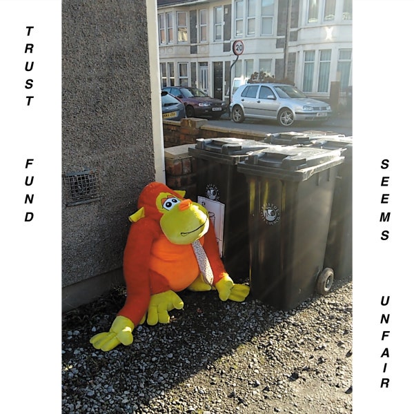 vinyl-seems-unfair-by-trust-fund