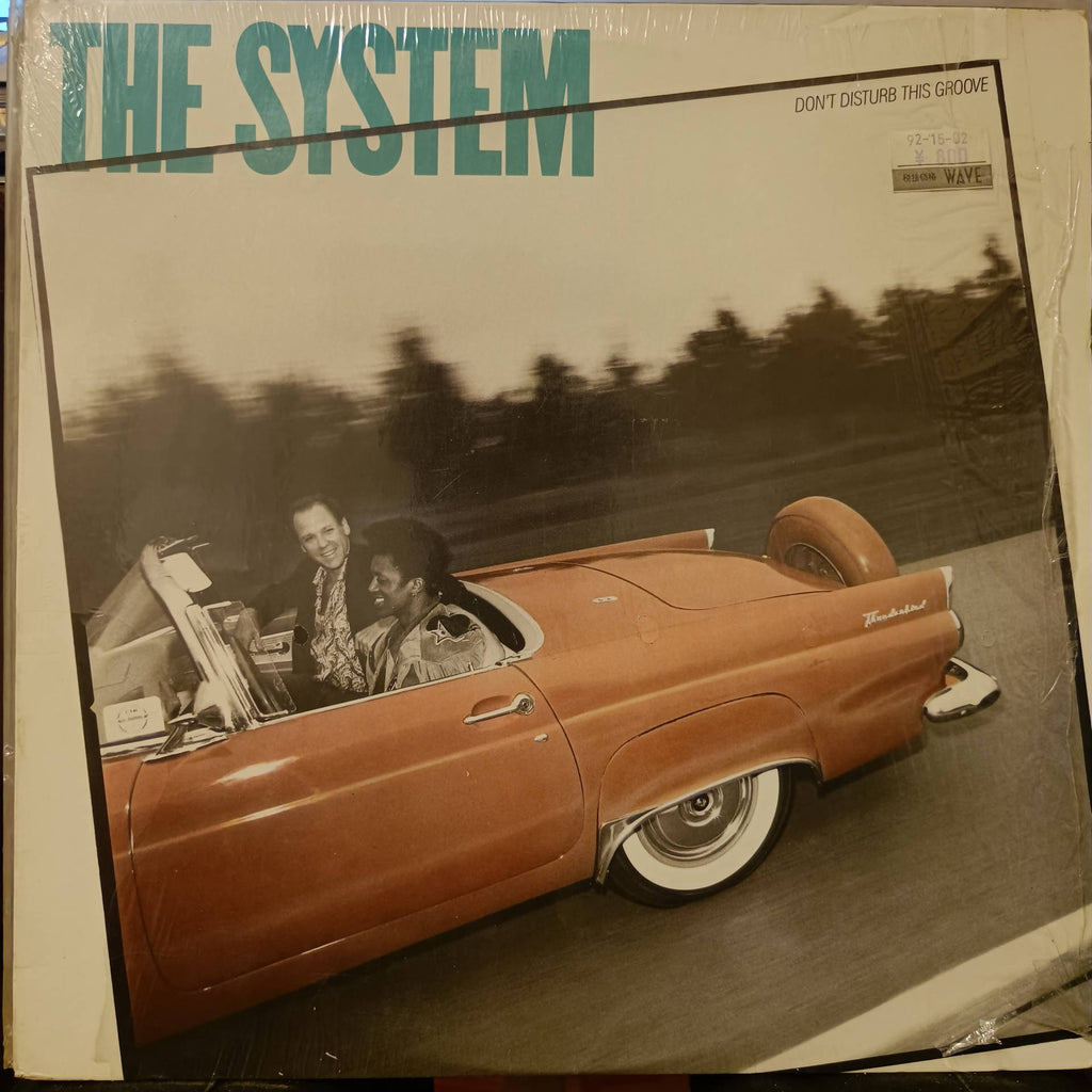 The System – Don't Disturb This Groove (Used Vinyl - VG+) MD Recordwala