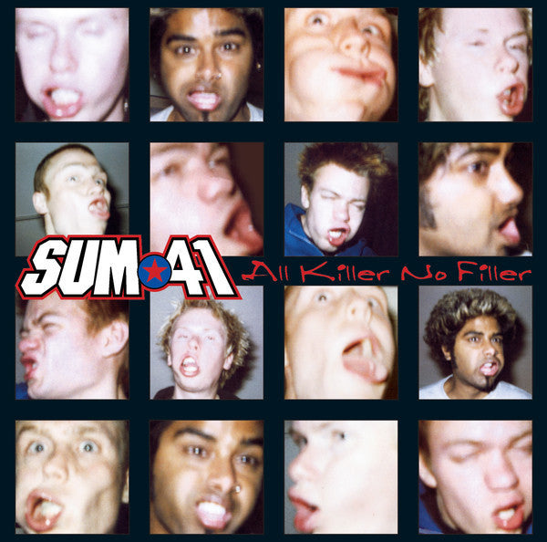 vinyl-sum-41-all-killer-no-filler