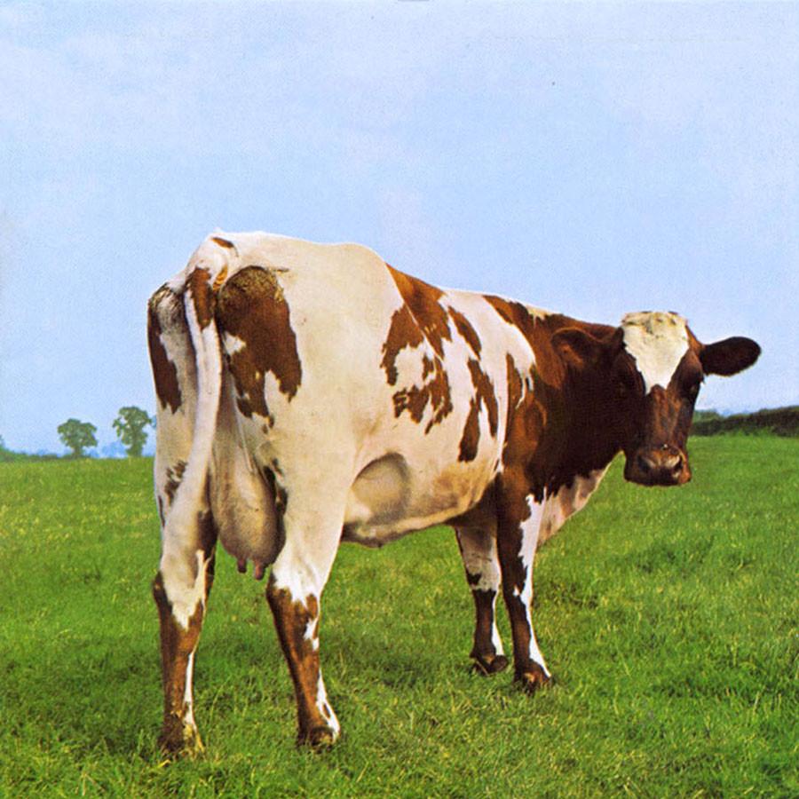 vinyl-atom-heart-mother-by-pink-floyd