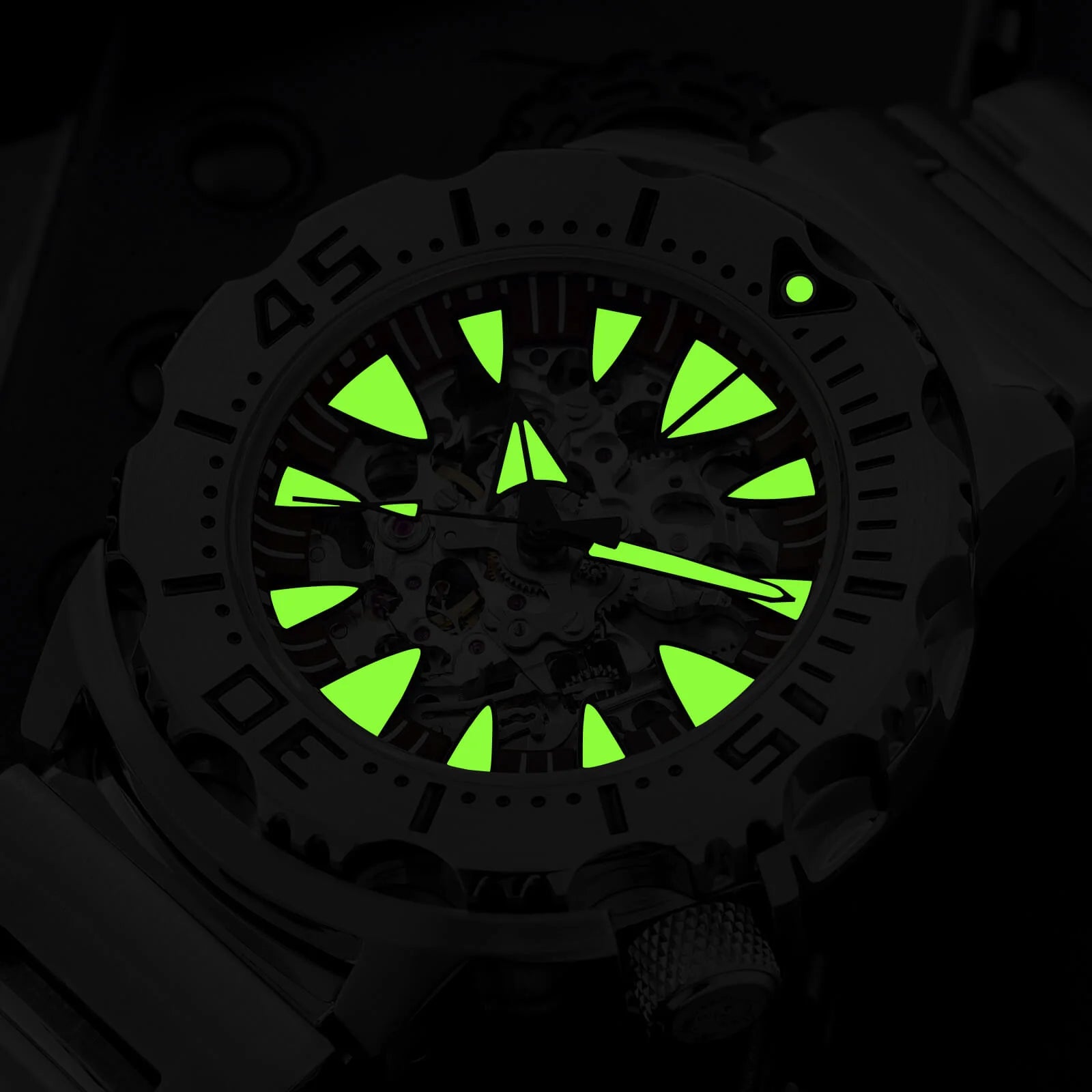 ADDIESDIVE OceanMonster Dive Watch AD2103-skeleton