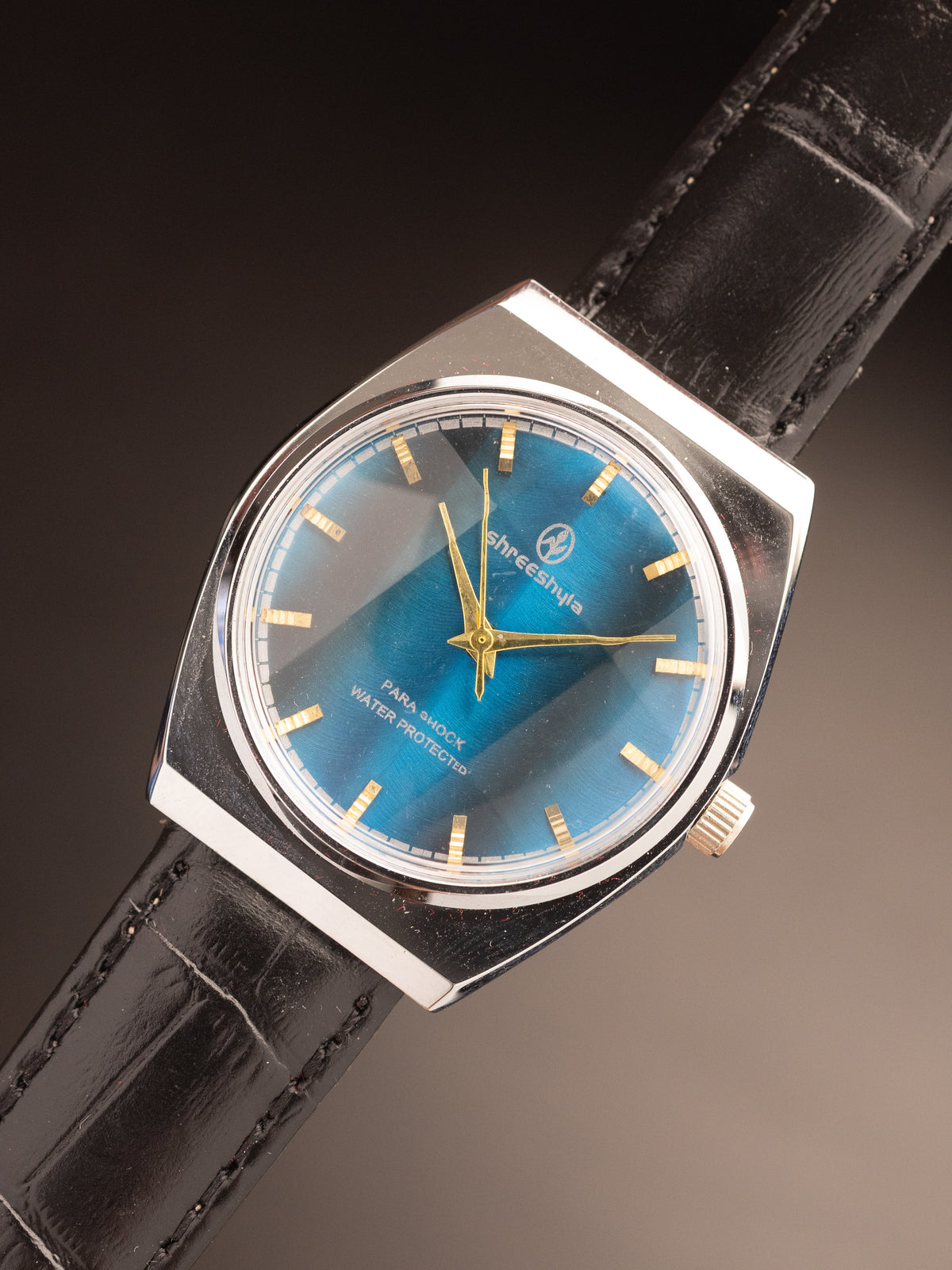 Hegde & Golay Shreeshyla Blue Dial Black Strap TR06