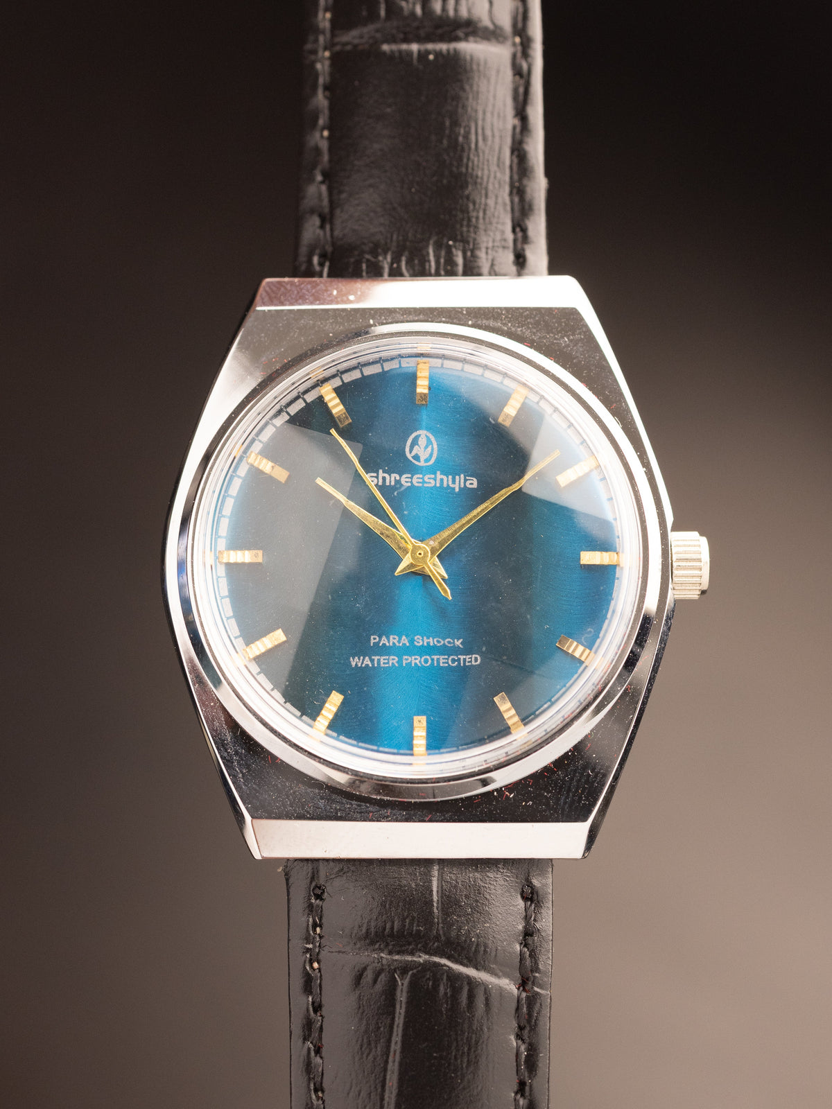 Hegde & Golay Shreeshyla Blue Dial Black Strap TR06