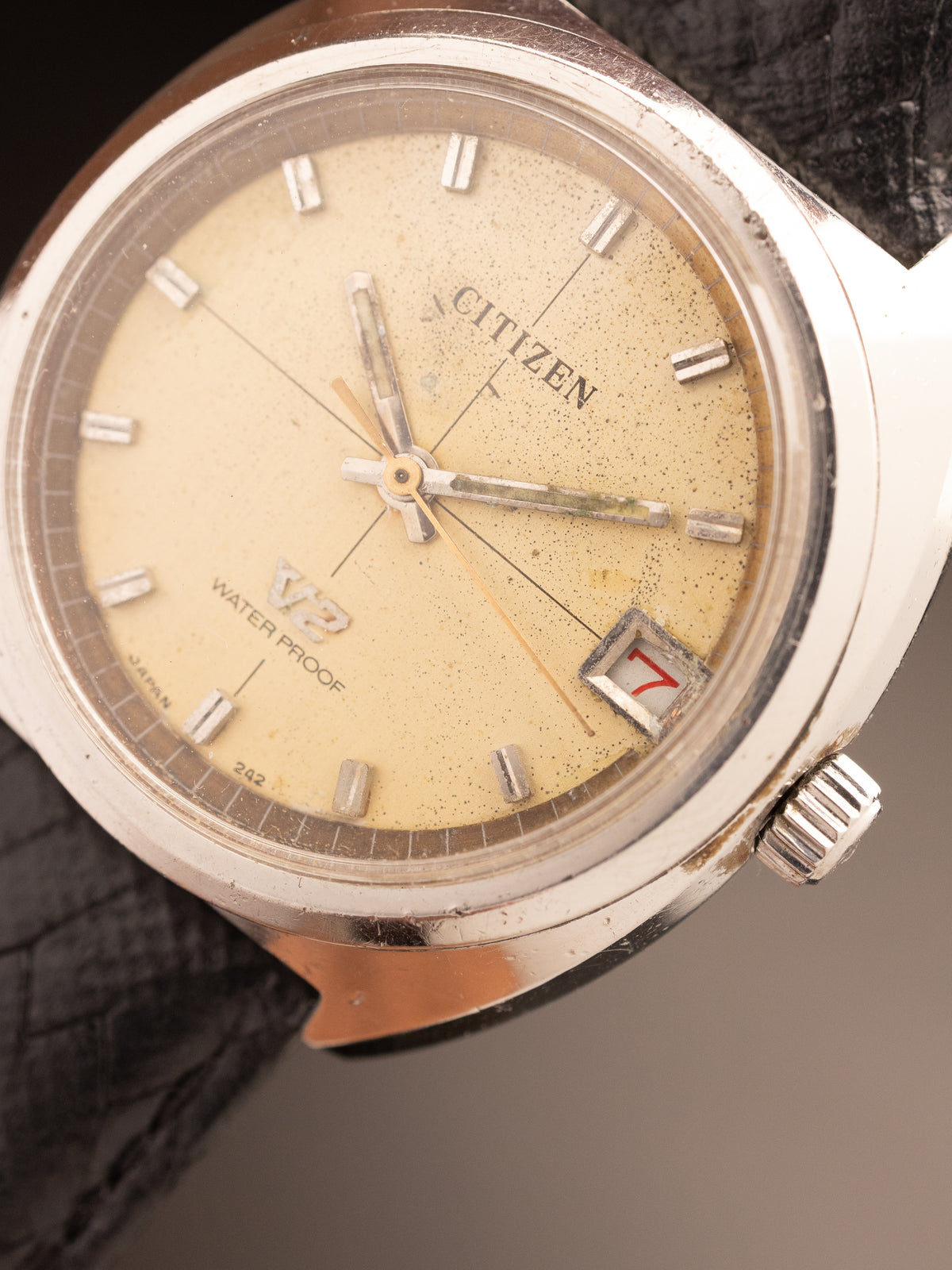 Citizen V2 Dater Cream White Dial ( 242 )