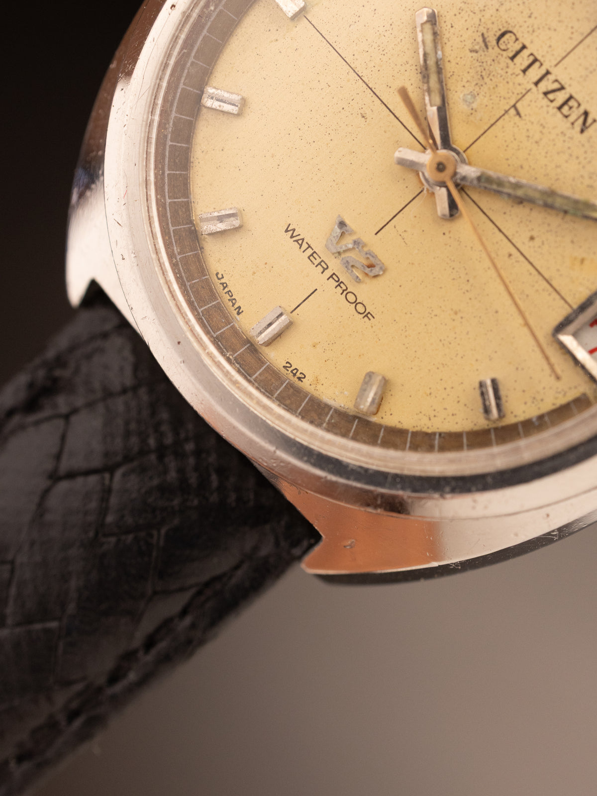 Citizen V2 Dater Cream White Dial ( 242 )