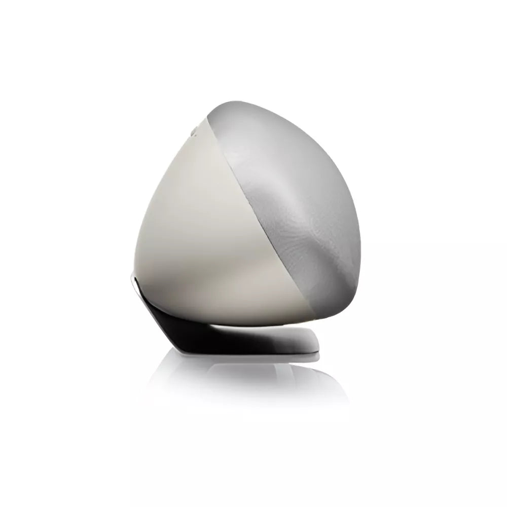 Bowers & Wilkins (B&W) Zeppelin Wireless Smart Speaker 2021