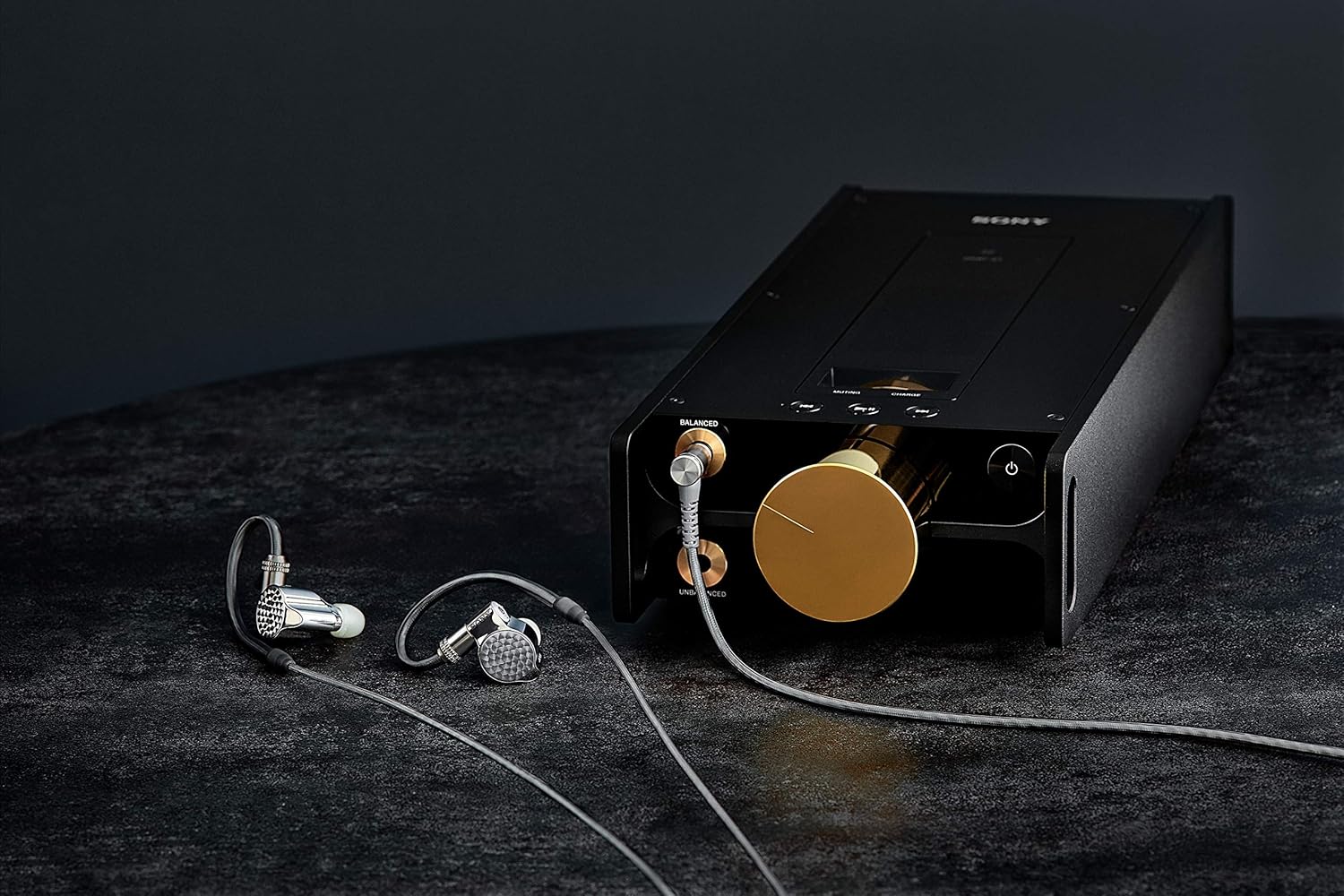 Sony IER 1ZR ( Pre-Owned ) – The Revolver Club