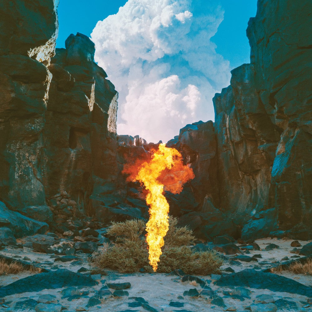 bonobo-migration-vinyl-record.jpg