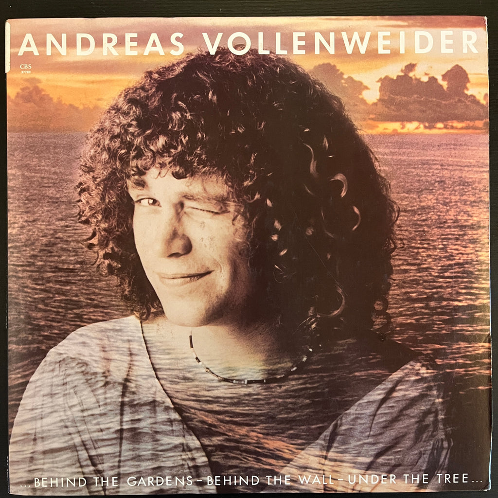 Andreas Vollenweider – ... Behind The Gardens - Behind The Wall - Under The Tree ... (Used Vinyl - VG+) LM Marketplace