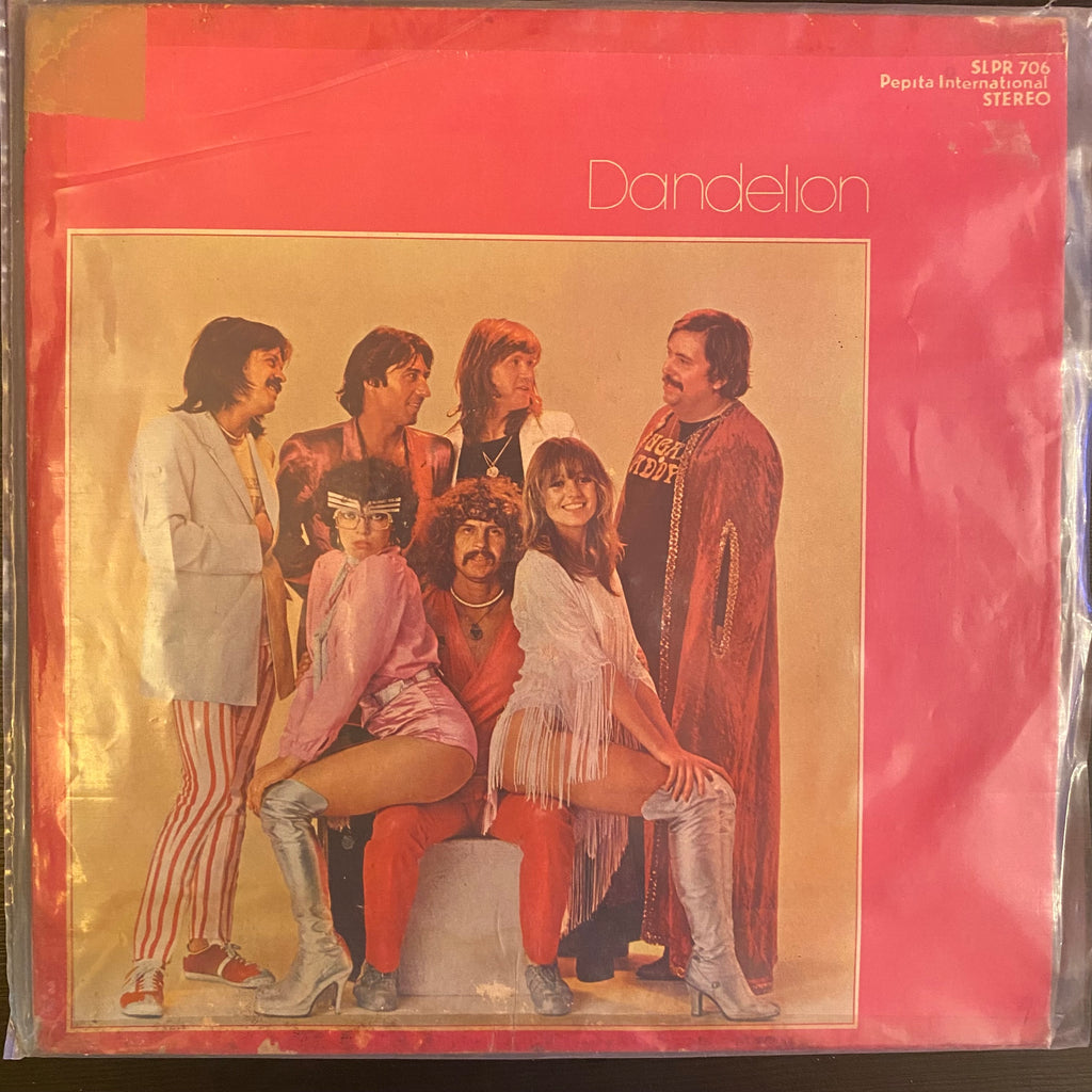 Newton Family – Dandelion (Used Vinyl - VG) MD Marketplace