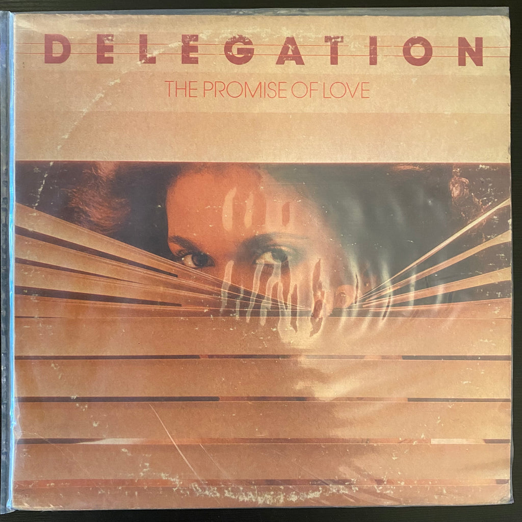 Delegation – The Promise Of Love (Used Vinyl - VG) MD Marketplace