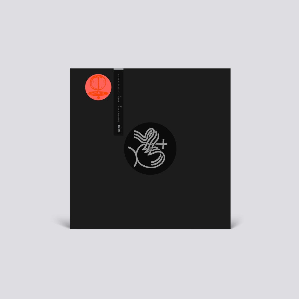leon-vynehall-i,-cavallo-vinyl-record.jpg-2