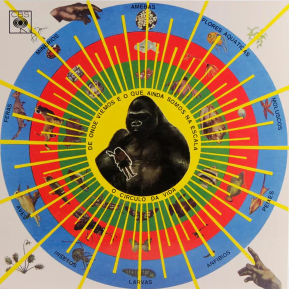 pedro-santos-krishnanda-vinyl-record.jpg
