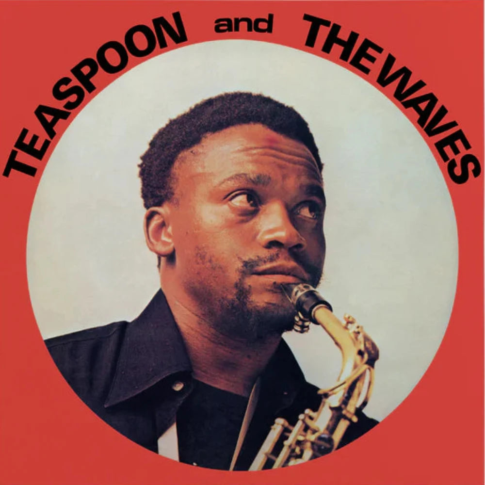 teaspoon*-&-the-waves-(12)-teaspoon-&-the-waves-vinyl-record.jpg