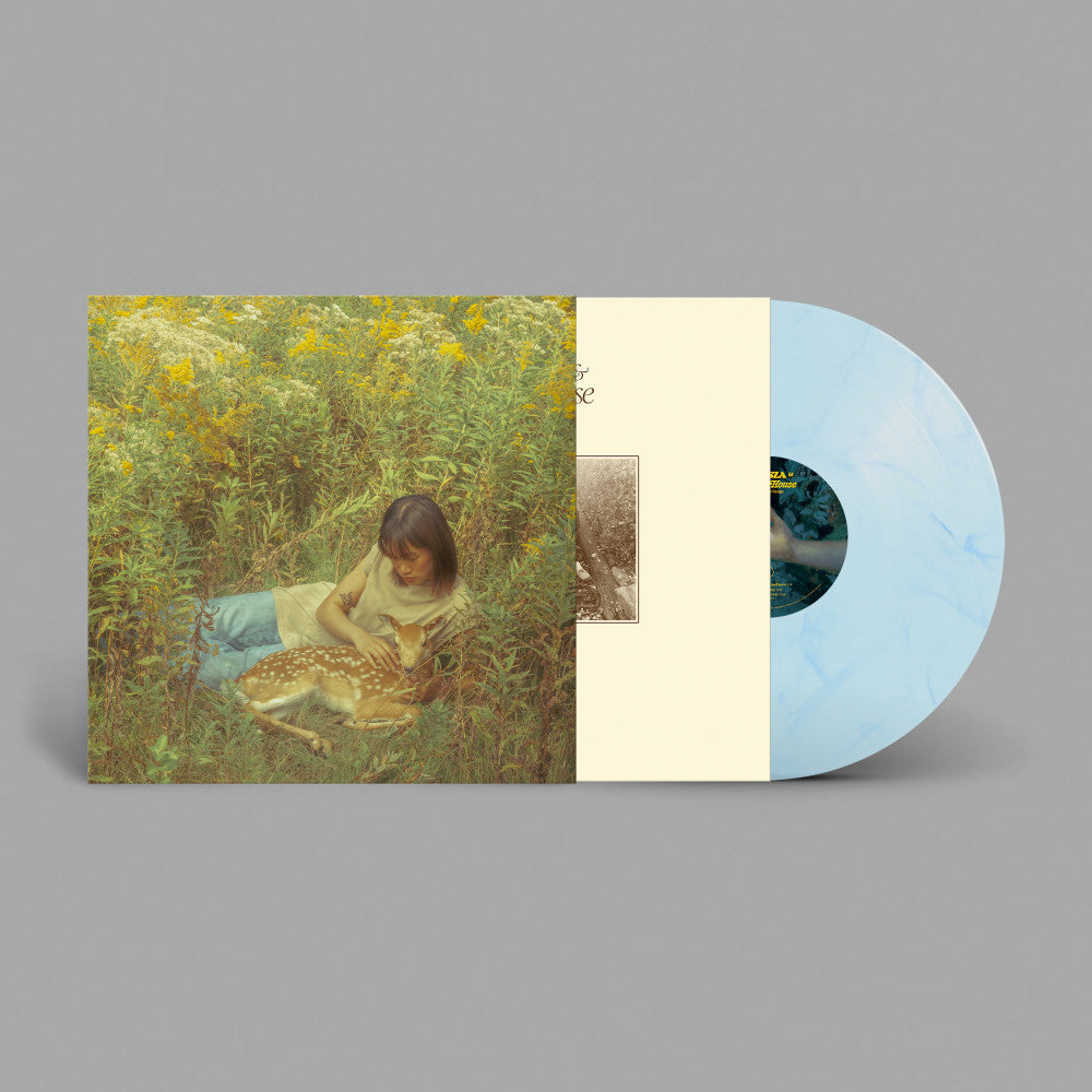 odesza-&-yellow-house-flaws-in-our-design-vinyl-record.jpg-2