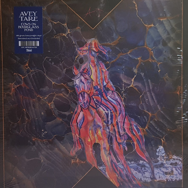 avey-tare-cows-on-hourglass-pond-vinyl-record.jpg