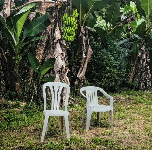 Bad Bunny – Debí Tirar Más Fotos (Quick Ship)