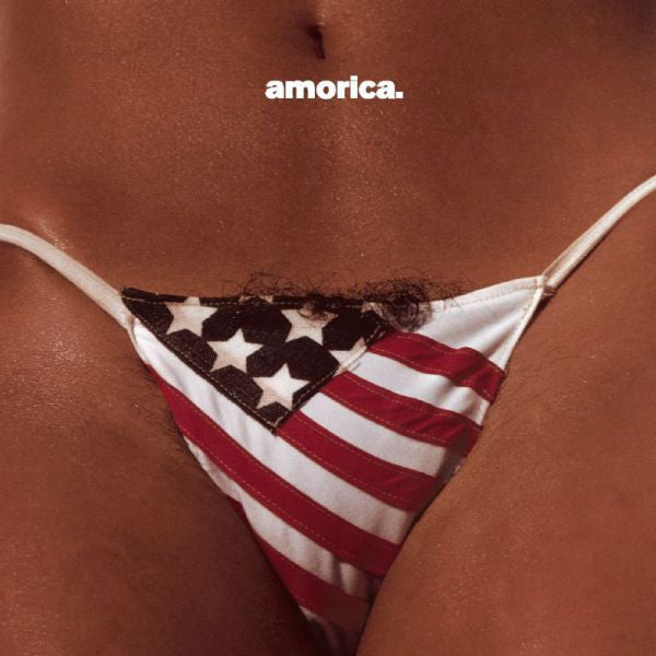 the-black-crowes-amorica-vinyl-record.jpg