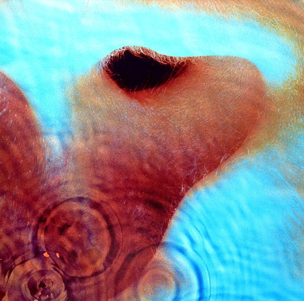 pink-floyd-meddle-vinyl-record.jpg