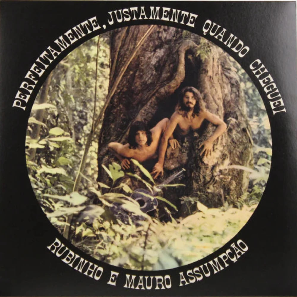 rubinho-e-mauro-assumpção-perfeitamente,-justamente-quando-cheguei-vinyl-record.jpg