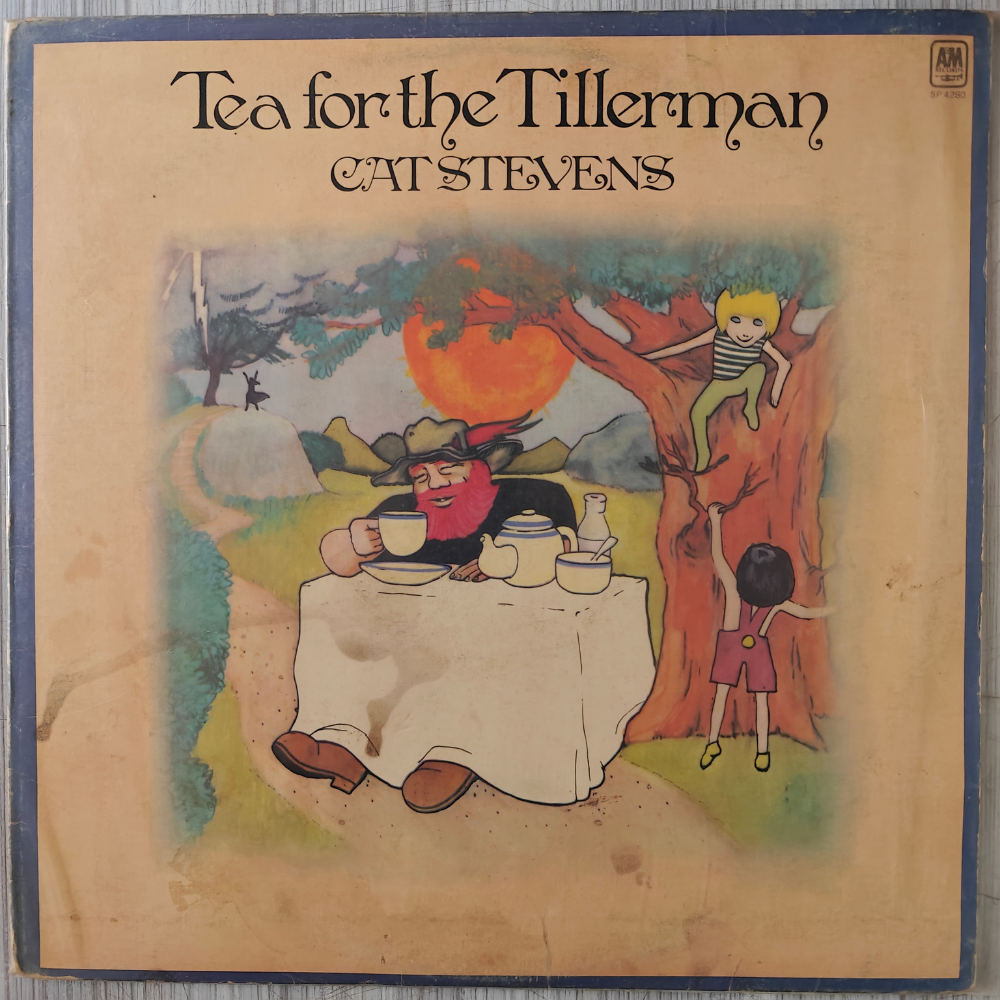 cat-stevens-tea-for-the-tillerman-vinyl-record.jpg