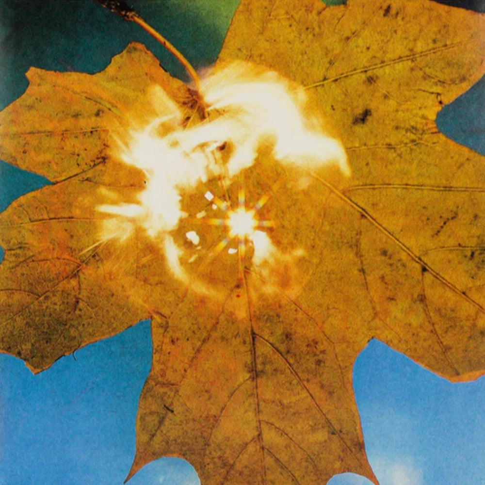 союз-(2)-=-soyuz*-сила-ветра-=-force-of-the-wind-vinyl-record.jpg